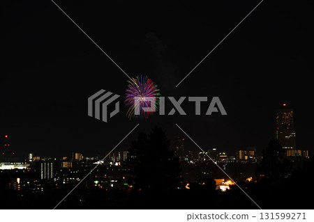 濱松市容和船越町煙火大會(靜岡縣) 濱松市容和船越町煙火大會(靜岡縣) 131599271