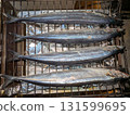 Grilling the whole Pacific saury, a taste of autumn, on a fish grill 131599695