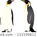 Two Emperor Penguins 131599811