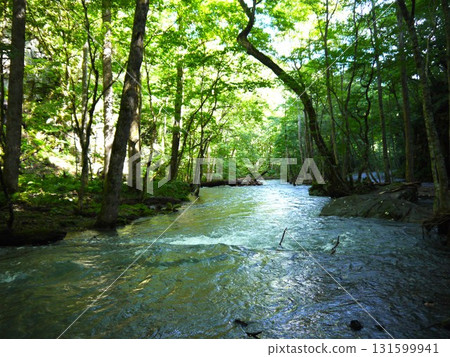 The landscape of the Oirase Stream 131599941