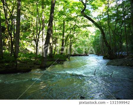 Oirase Gorge surrounded by fresh greenery Oirase Gorge surrounded by fresh greenery 131599942