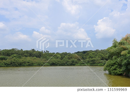 大阪府大阪市鶴見綠地花展紀念公園 大阪府大阪市鶴見綠地花展紀念公園 131599969