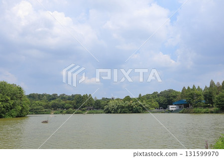 大阪府大阪市鶴見綠地花展紀念公園 131599970