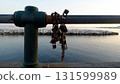 Love locks on a balustrade on the Naples waterfront. 131599989
