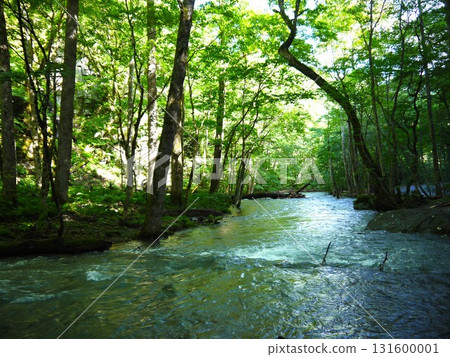 The landscape of the Oirase Stream 131600001