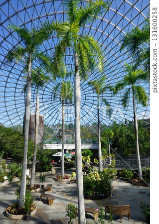 Japan's largest flower park "Tottori Flower Corridor": Inside the Flower Dome Japan's largest flower park "Tottori Flower Corridor": Inside the Flower Dome 131600258