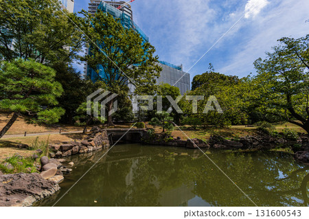 The pine trees and Japanese-style bridge at the former Shiba Rikyu Gardens in Tokyo, with a high-rise building under construction visible through the greenery The pine trees and Japanese-style bridge at the former Shiba Rikyu Gardens in Tokyo, with a high-rise building under construction visible through the greenery 131600543