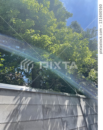 一條小彩虹 131600560