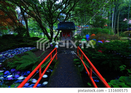 An approach to the entrance wrapped in fresh green 131600575