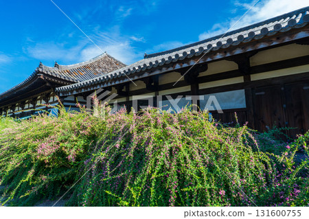 Hagi flowers and Gokurakubo Main Hall at Gangoji Temple, Nara City, Nara Prefecture 131600755