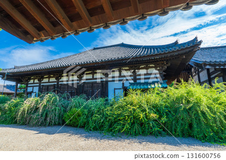 Hagi flowers and Gokurakubo Main Hall at Gangoji Temple, Nara City, Nara Prefecture 131600756