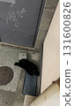 Graffiti and black cat 131600826