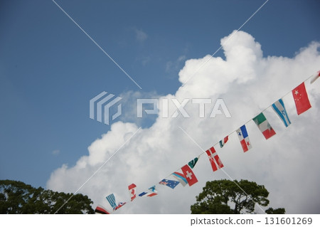 Flags of the world fluttering in the sky - Sports day image Flags of the world fluttering in the sky - Sports day image 131601269