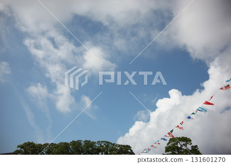 世界各國國旗在空中飄揚-運動會圖片 世界各國國旗在空中飄揚-運動會圖片 131601270