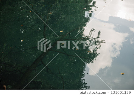 Reflection of tree and clouds in rippling water 131601339