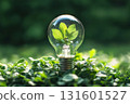 Green energy eco concept with light bulb and green plant inside it 131601527