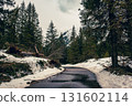 Mountain fir forest and the road near Morskie Oko Lake in Poland at Winter. Tatras mountains 131602114