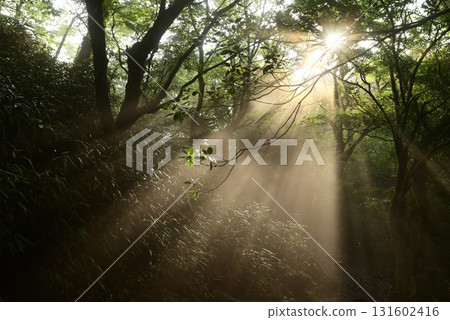 攀登茨城縣筑波山 攀登茨城縣筑波山 131602416