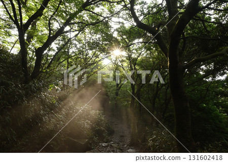 Climbing Mount Tsukuba, Ibaraki Prefecture 131602418