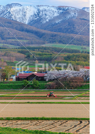 櫻花村的田野和春耕景觀 131602584