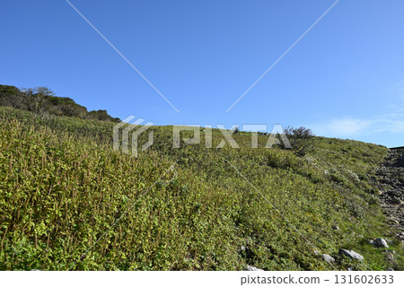 攀登滋賀縣伊吹山 131602633