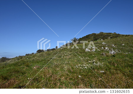 Climbing Mount Ibuki, Shiga Prefecture Climbing Mount Ibuki, Shiga Prefecture 131602635