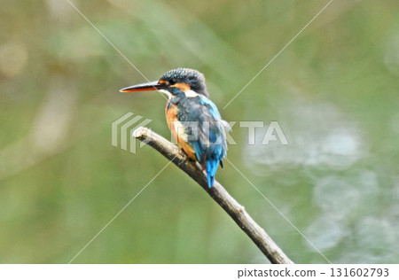 I'm taking a break 131602793