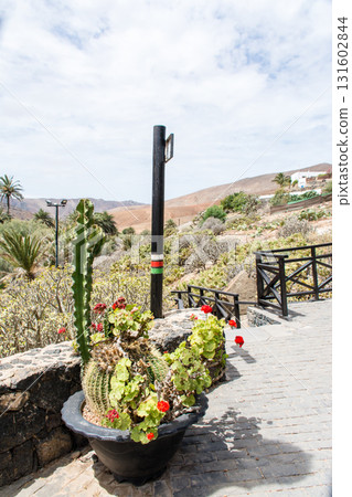 Cactus pots and dry mountains and hills under bright sunlight in Betancuria, inland Fuerteventura 131602844