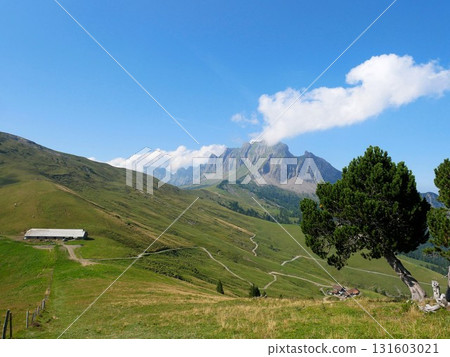 Gonzen Farm and Allviar (Canton of St. Gallen, Switzerland) 131603021