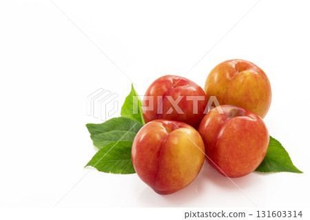 白色背景下的李子 白色背景下的李子 131603314