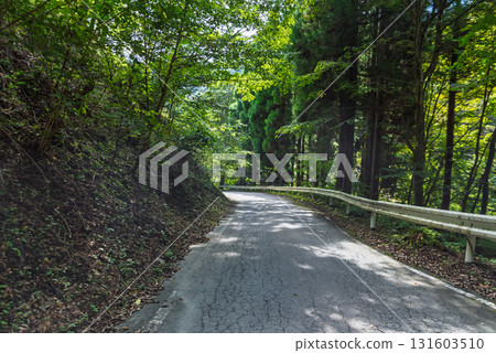 國道299號線特谷嶺群馬縣一側的一條狹窄山路 國道299號線特谷嶺群馬縣一側的一條狹窄山路 131603510