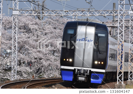 笠松與名鐵的櫻花 2000 系列 μSky 笠松與名鐵的櫻花 2000 系列 μSky 131604147