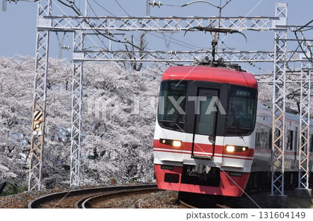 Cherry blossoms at Kasamatsu and Meitetsu 1700 series express train 131604149