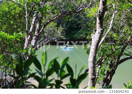 Kayaking on the Hija River 131604293