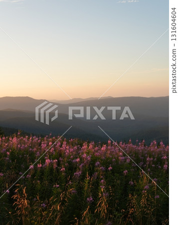 Beautiful mountain landscape, light over peaks and valleys, natural scenery, calm atmosphere and wild nature 131604604