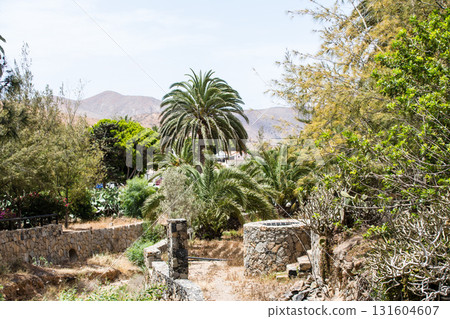 石頭遺址,一個被棕櫚樹和遠處禿山環繞的公園,位於富埃特文圖拉島的貝坦庫裡亞 石頭遺址,一個被棕櫚樹和遠處禿山環繞的公園,位於富埃特文圖拉島的貝坦庫裡亞 131604607