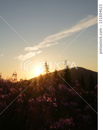 Beautiful mountain landscape, light over peaks and valleys, natural scenery, calm atmosphere and wild nature 131604623