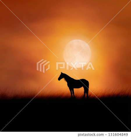 Dramatic close-up of a black horses eye with vivid flames reflected, symbolizing the strength of the 2026 Fire Horse Dramatic close-up of a black horses eye with vivid flames reflected, symbolizing the strength of the 2026 Fire Horse 131604849