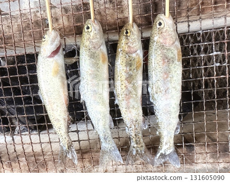 Charcoal grilled river fish outdoor cooking 131605090