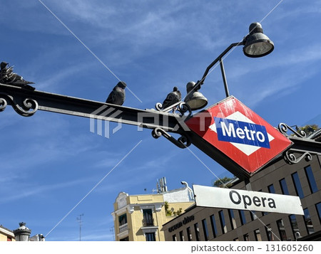 A pigeon perched on a metro sign 131605260