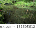 Stream water 131605612