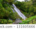 Oshinkoshin Falls, Shiretoko, Hokkaido, August 2025 131605666