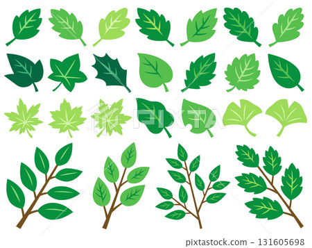 Illustration set of various green leaves and branches Illustration set of various green leaves and branches 131605698