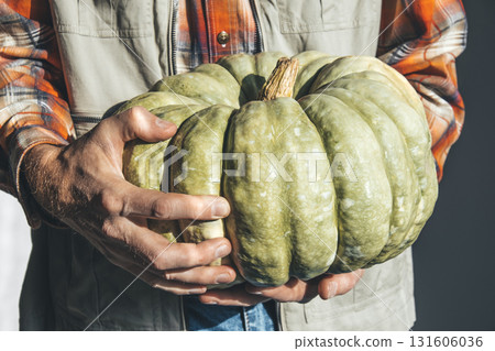 man holding large green pumpkin in sunlit space during autumn harvest season. closeup. man holding large green pumpkin in sunlit space during autumn harvest season. closeup. 131606036