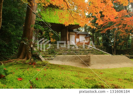 哲學之道沿線法然院(京都市左京區)的秋葉綏爛奪目 哲學之道沿線法然院(京都市左京區)的秋葉綏爛奪目 131606184