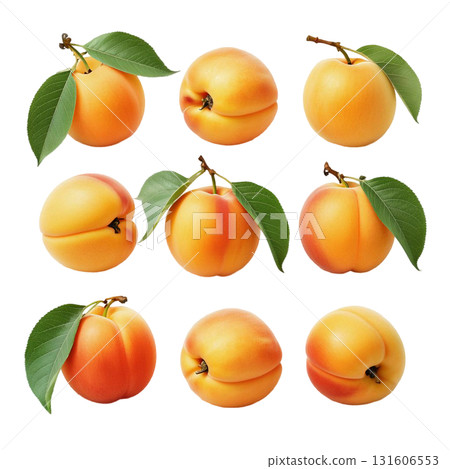 Isolate a pile of ripe apricots on a branch with green leaves perfectly demonstrates a fresh harvest. The image is suitable for healthy eating and summer fruit themes. 131606553