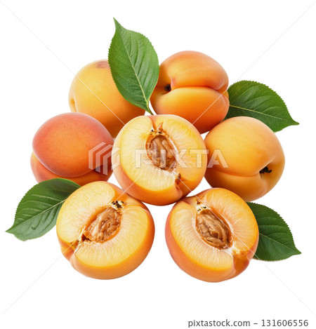 Isolate a pile of ripe apricots on a branch with green leaves perfectly demonstrates a fresh harvest. The image is suitable for healthy eating and summer fruit themes. 131606556