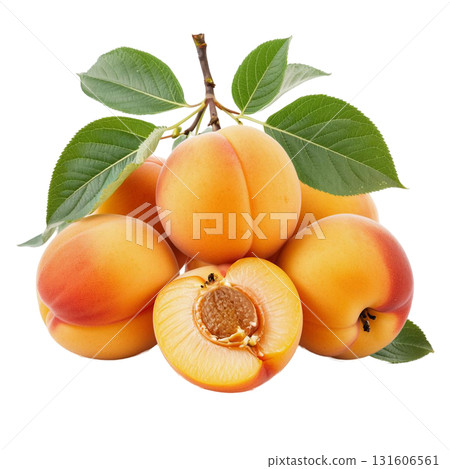 Isolate a pile of ripe apricots on a branch with green leaves perfectly demonstrates a fresh harvest. The image is suitable for healthy eating and summer fruit themes. 131606561