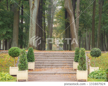 Alley of the park in autumn. Gatchina Alley of the park in autumn. Gatchina 131607924