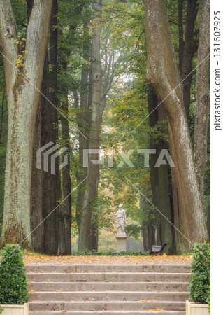 Alley of the park in autumn. Gatchina. 131607925